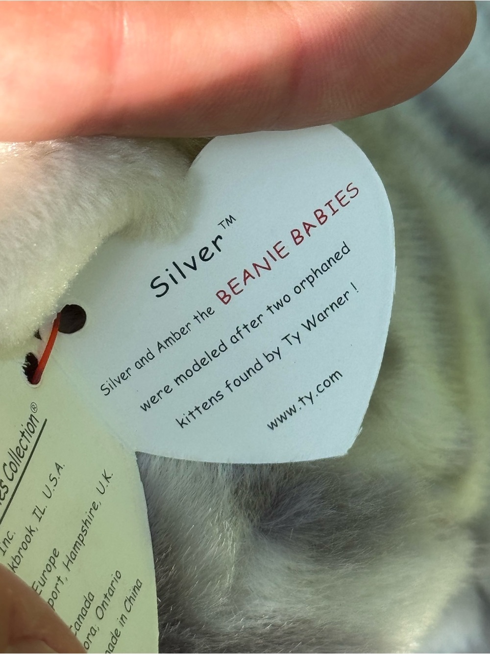 TY Silver The Beanie Buddy Cat! LARGE BEANIE! - Picture 3 of 4